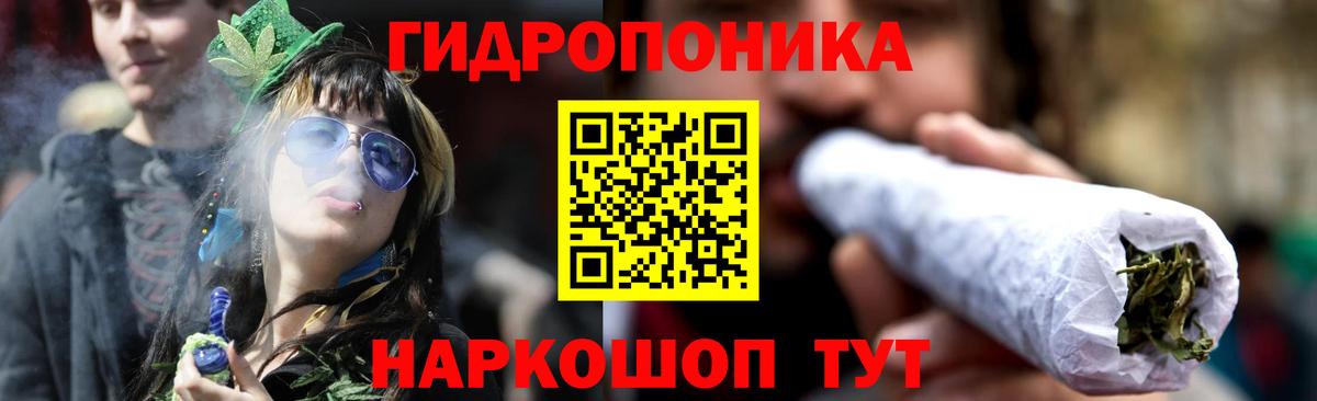 Нововоронеж  Канабис план  Канабис тримм  Шишки марихуана план  Вход с VPN 
